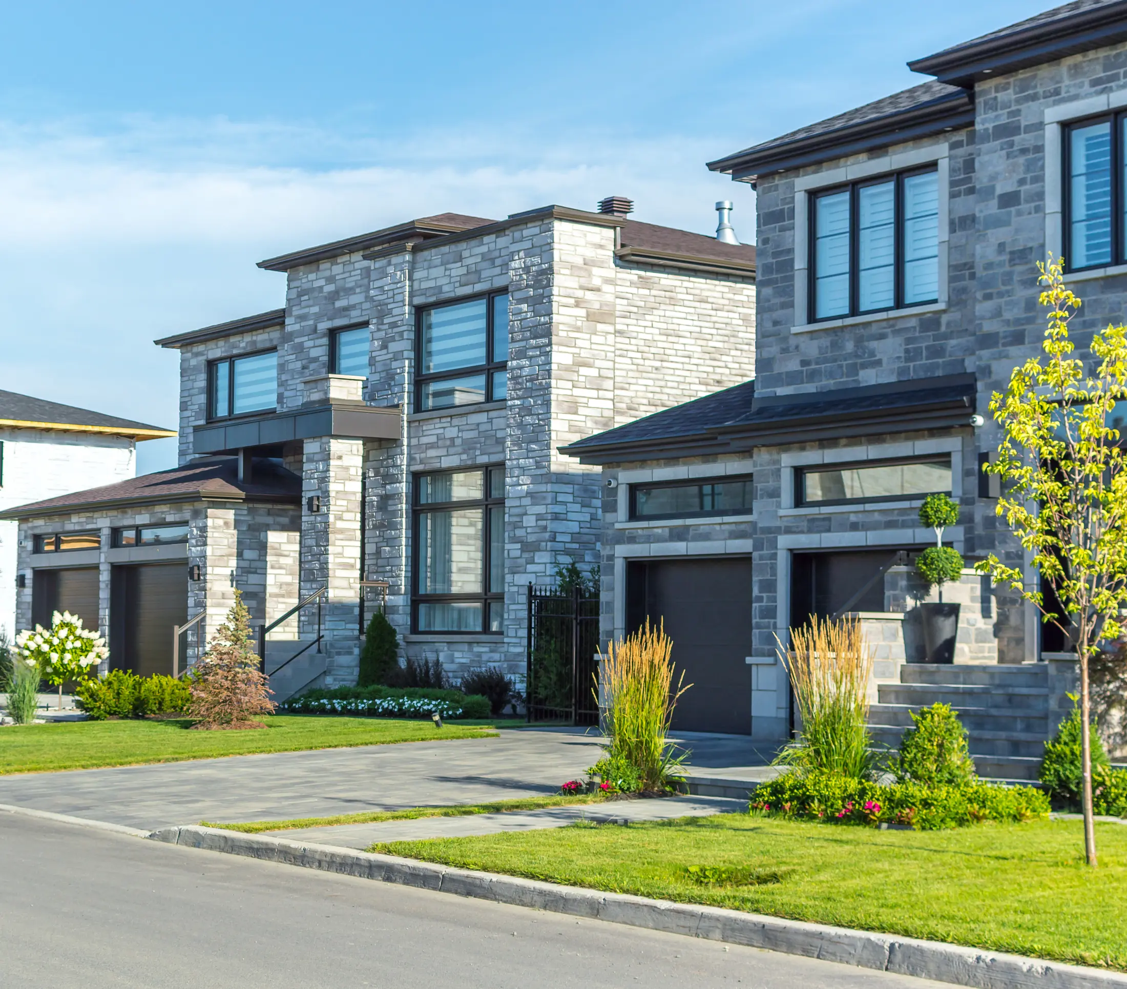 Landscaped residential street with homes and trees